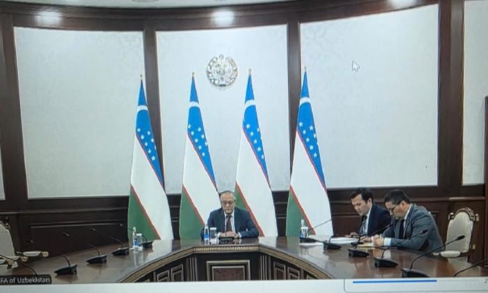 Пакистан и Узбекистан обсудили проект Трансафганской железной дороги