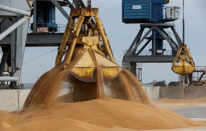 Киев недоволен импортом зерна в Бангладеш