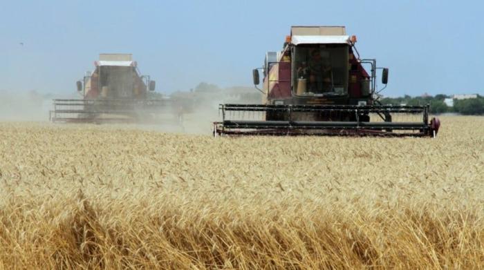 Польские аграрии протестуют против импорта украинской продукции