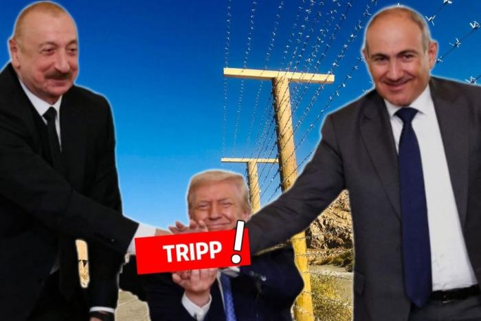 Вашингтонское заявление Трампа, Алиева и Пашиняна: между дипломатией и стратегическими потерями