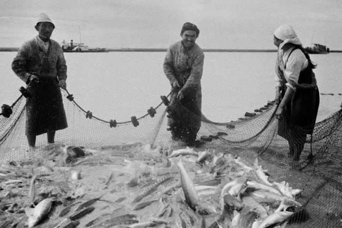 Арал, 1941-1945: чтобы всех поимённо назвать...