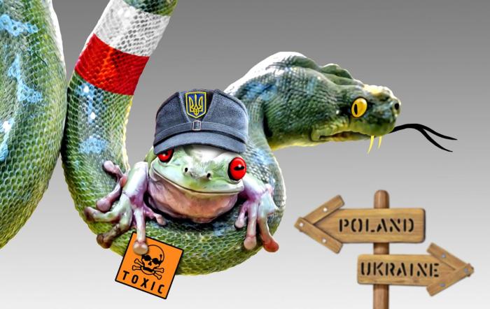 Украинский вопрос вызывает всё большее раздражение польского истеблишмента