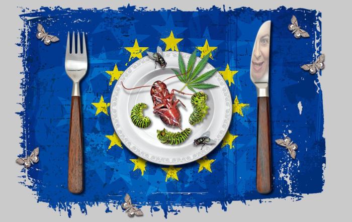 Поедание насекомых как прелюдия к «дивному новому миру»