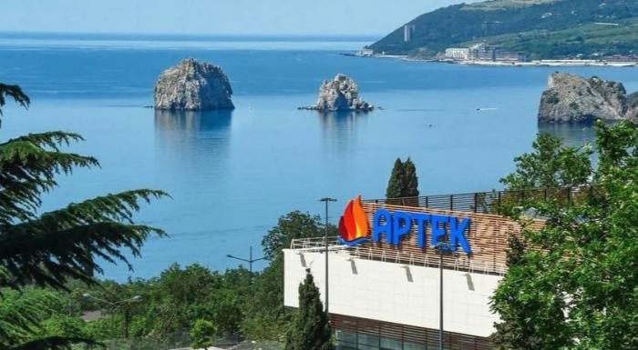 Чем «Артек» провинился перед Японией?