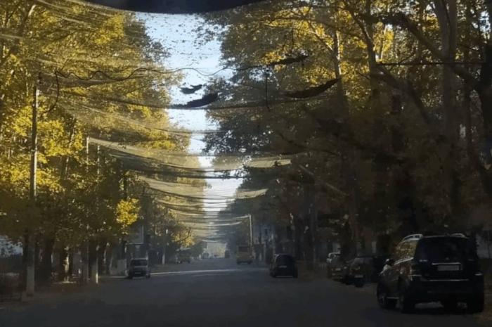 на фото – те самые антидроновые сети в Херсоне, о которых все говорят. Несмотря на то, что весь город ими обвешан, наши дроны продолжают выполнять там задачи без проблем, источник Телеграм-канал Херсон ЗХ