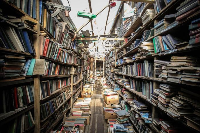 «451 градус по Фаренгейту», или Киевские хунвейбины против книг на русском