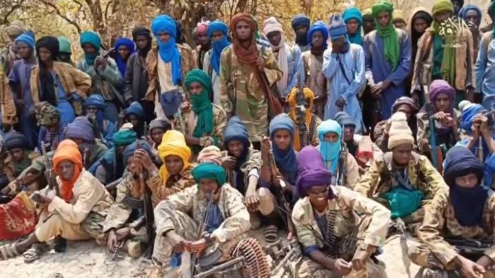 США хотят ворваться в Африку на плечах джихадистов