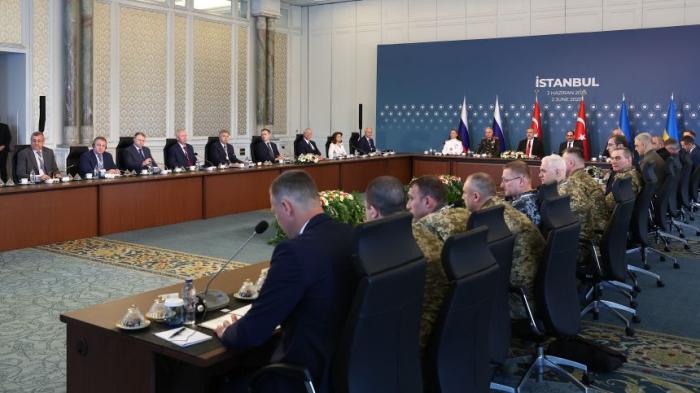 «Обидели мышку – написали в норку», или Жалобы украинских дипломатов