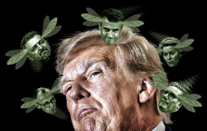 «Доброе слово» из Вашингтона. Почему одного желания Трампа может не хватить для мира на Украине?