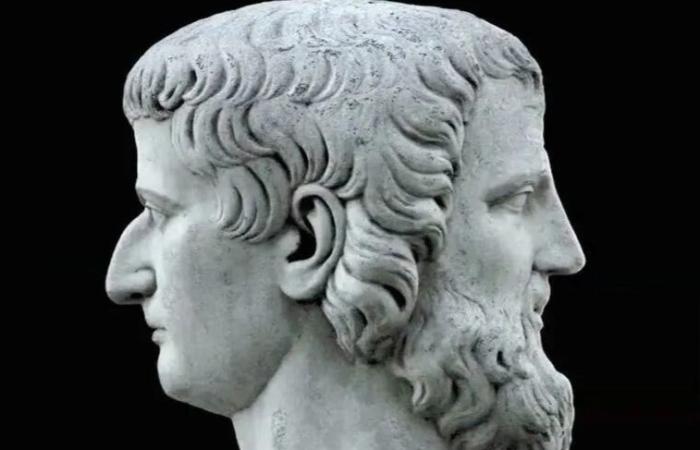 Двуликий Янус в широком интерьере