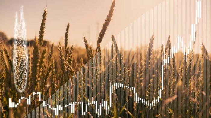 Страны БРИКС запустят зерновую биржу