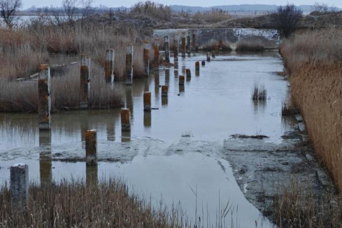 в Каланчакском округе возобновлены работы по расчистке русла реки Каланчак. Их проводит региональное Министерство природных ресурсов, экологии и рыболовства, источник Телеграм-канал Владимир Сальдо