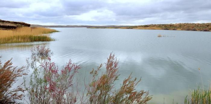 Проект переброса стока сибирских рек в Центральную Азию вызывает обоснованные сомнения