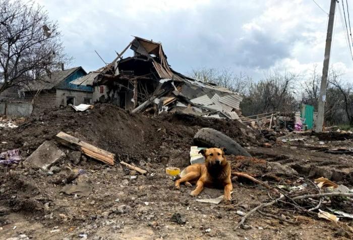 в зоне проведения СВО, источник МАХ-канал Тристатридцатьтри