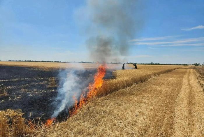 в результате сброса с ударного беспилотника в районе села Новоивановка Приазовского муниципального округа загорелись посевы зерновых культур, источник МАХ-канал Балицкий Евгений