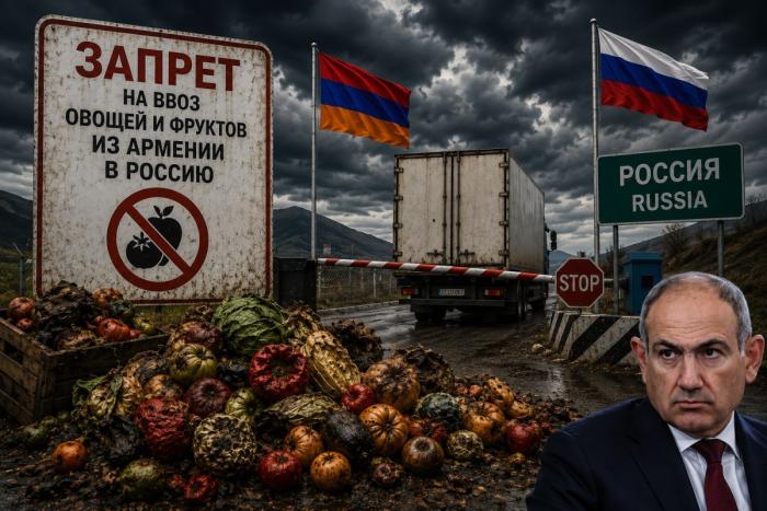 Ввоз сельскохозяйственной продукции из Армении в Россию ограничен
