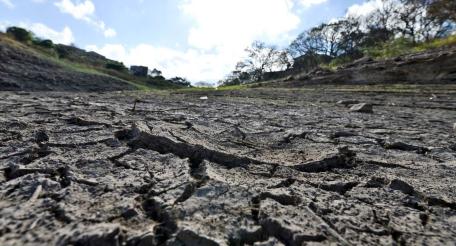 Засуха в Центральной Америке принимает экстремальные формы