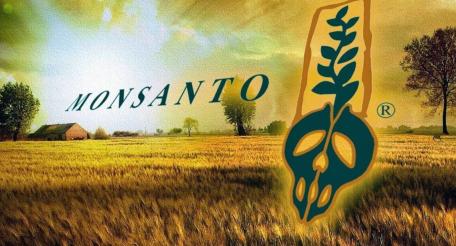 Monsanto на Украине