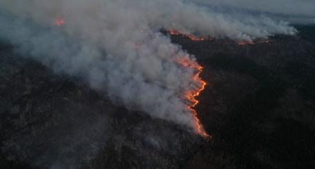 В Чернобыле вновь горят леса