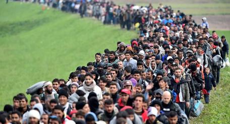 Миграция в страны Европы питает терроризм