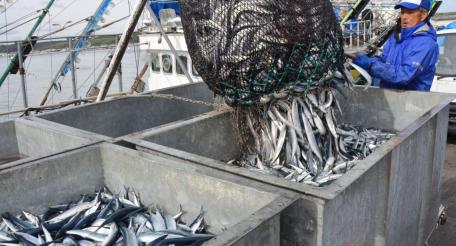 Санкции санкциями, а русской рыбки японцам хочется