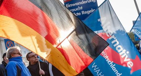 «Альтернатива для Германии» стремительно набирает популярность