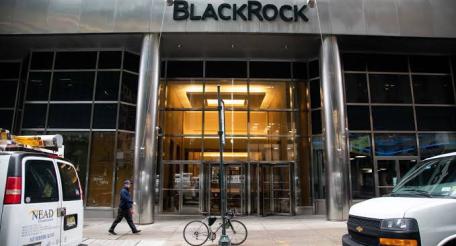 Blackrock берет под свой контроль государства и центробанки