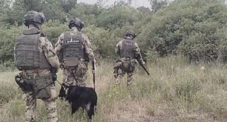 в ЛНР росгвардейцы обнаружили схрон ВСУ с оружием и боеприпасами иностранного производства, источник Телеграм-канал Росгвардия