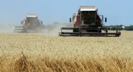 Польские аграрии протестуют против импорта украинской продукции