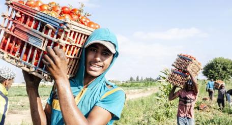 В новом докладе ФАО (Food and Agriculture Organization of the United Nations) ООН «Положение молодежи в агропродовольственных системах» представлен всесторонний анализ положения молодежи в агропродовольственных системах, проведенный на основе эмпирических данных.