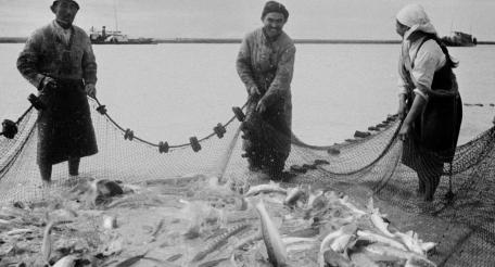 Арал, 1941-1945: чтобы всех поимённо назвать...