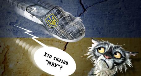 Кто сказал «мяу»?, или Львовских котов заставляют «нявкать»