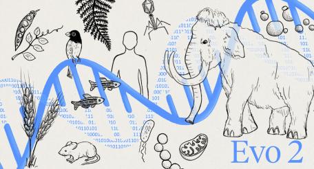 В США набирают кадры для разработки биологического оружия с помощью ИИ