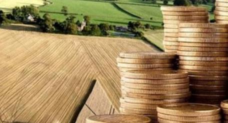 На Украине с 16 января иностранным гражданам разрешается скупать земли сельхозназначения 