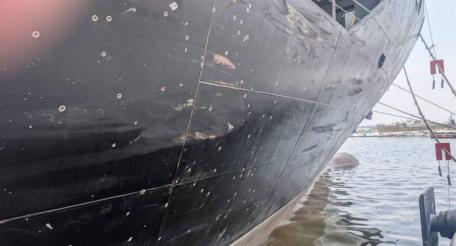 фото из Ильичевска Одесской области, источник Телеграм-канал Хроники Гераней