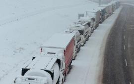 Антиукраинская забастовка в ЕС парализует границы в Восточной Европе