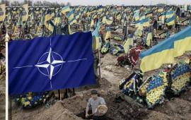 Украинцы – «штрафники» Запада, обречённые на заклание