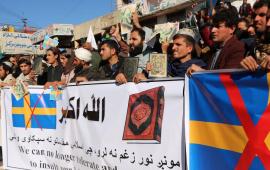 Афганцы протестуют против предательской политики Швеции