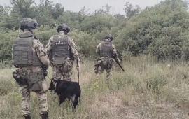 в ЛНР росгвардейцы обнаружили схрон ВСУ с оружием и боеприпасами иностранного производства, источник Телеграм-канал Росгвардия