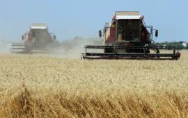 Польские аграрии протестуют против импорта украинской продукции