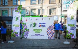 к 80-летию Победы в Великой Отечественной войне банк ПСБ организовал масштабную высадку деревьев в городах Донбасса и Новороссии, источник Телеграм-канал Readovka