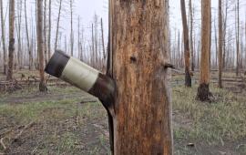 в зоне проведения СВО, источник Телеграм-канал Тристатридцатьтри