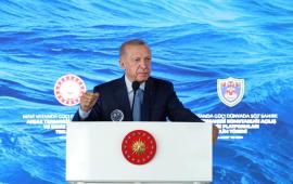 «Голубая Родина»: новый турецкий вызов не только для Греции?