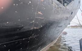 фото из Ильичевска Одесской области, источник Телеграм-канал Хроники Гераней