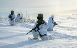 Канада моделирует партизанские действия против армии США