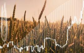 Страны БРИКС запустят зерновую биржу