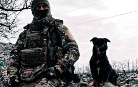 в зоне проведения СВО