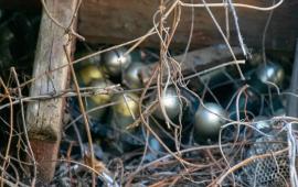 росгвардейцы продолжают обеспечивать безопасность и правопорядок в прифронтовых регионах, источник МАХ-канал Росгвардия