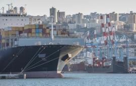 Киев и Брюссель возмущаются закупками зерна из Донбасса