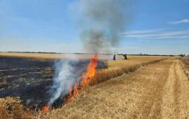в результате сброса с ударного беспилотника в районе села Новоивановка Приазовского муниципального округа загорелись посевы зерновых культур, источник МАХ-канал Балицкий Евгений